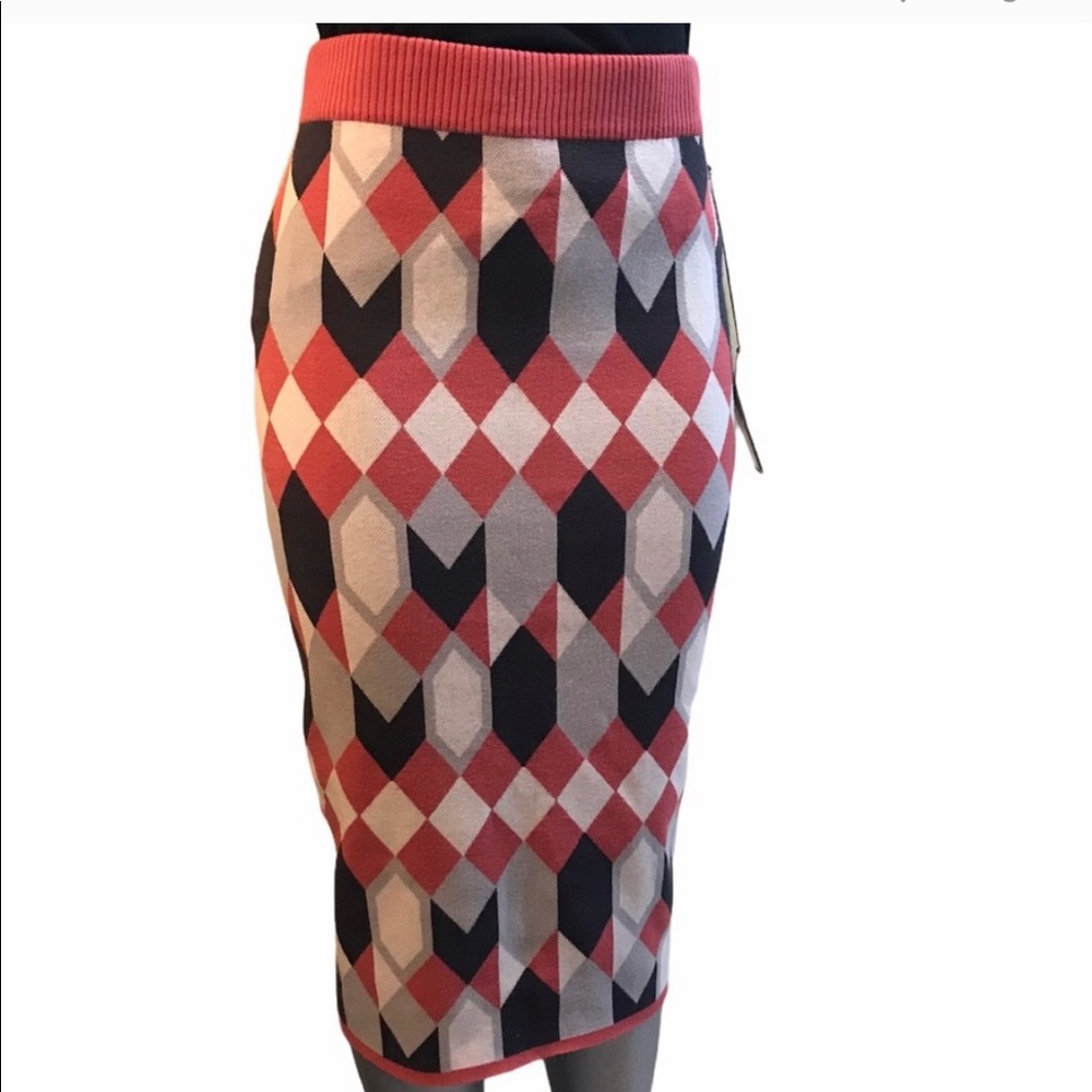 Never Worn New York & Co. Skirt
